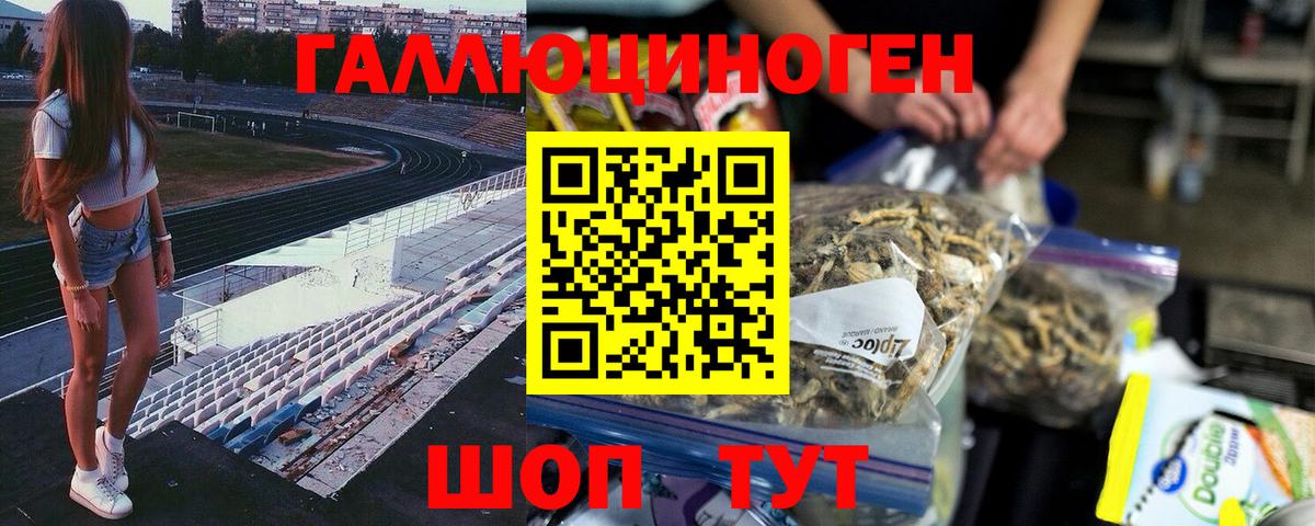 Новоалтайск  Псилоцибиновые грибы GOLDEN TEACHER  Вход с VPN 